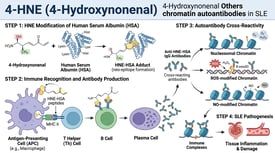 4-HNE (4-Hydroxynonenal) 4-Hydroxynonenal Others chromatin autoantibodies in SLE