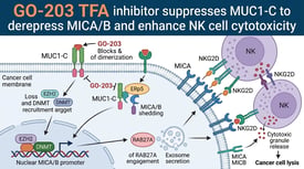 GO-203 TFA inhibitor suppresses MUC1-C to derepress MICA/B and enhance NK cell cytotoxicity