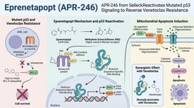 Eprenetapopt (APR-246) APR-246 from Selleck Reactivates Mutated p53 Signaling to Reverse Venetoclax Resistance
