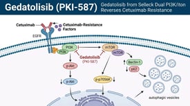 Gedatolisib (PKI-587) Gedatolisib from Selleck Dual PI3K/mTOR Inhibition Reverses Cetuximab Resistance