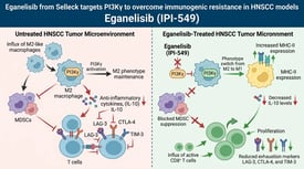 Eganelisib from Selleck targets PI3Kγ to overcome immunogenic resistance in HNSCC models