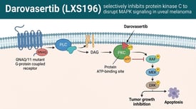 Darovasertib (LXS196) selectively inhibits protein kinase C to disrupt MAPK signaling in uveal melanoma