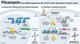 Plicamycin from Selleck Suppresses Sp1-Driven Twist1 Expression in Gastric Cancer