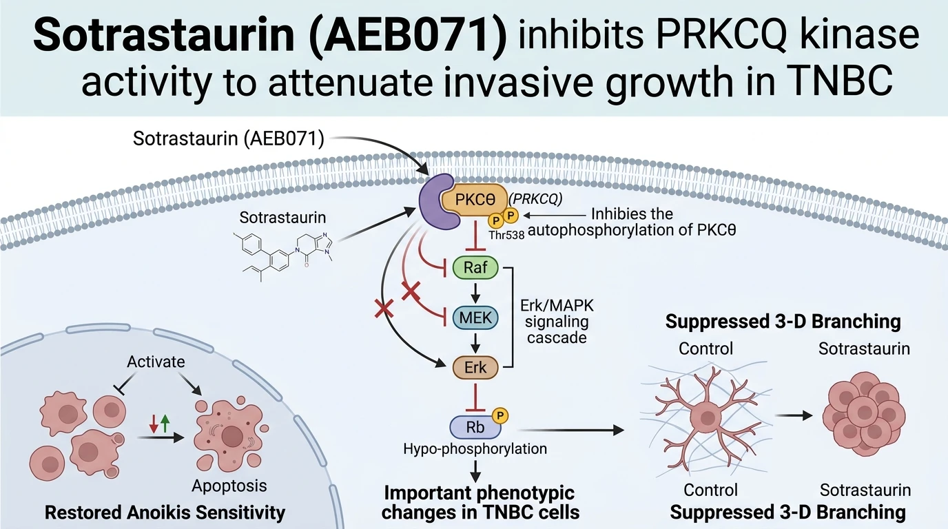 Schematic diagram of PKCθ Erk MAPK signaling pathway showing kinase inhibition in breast cancer