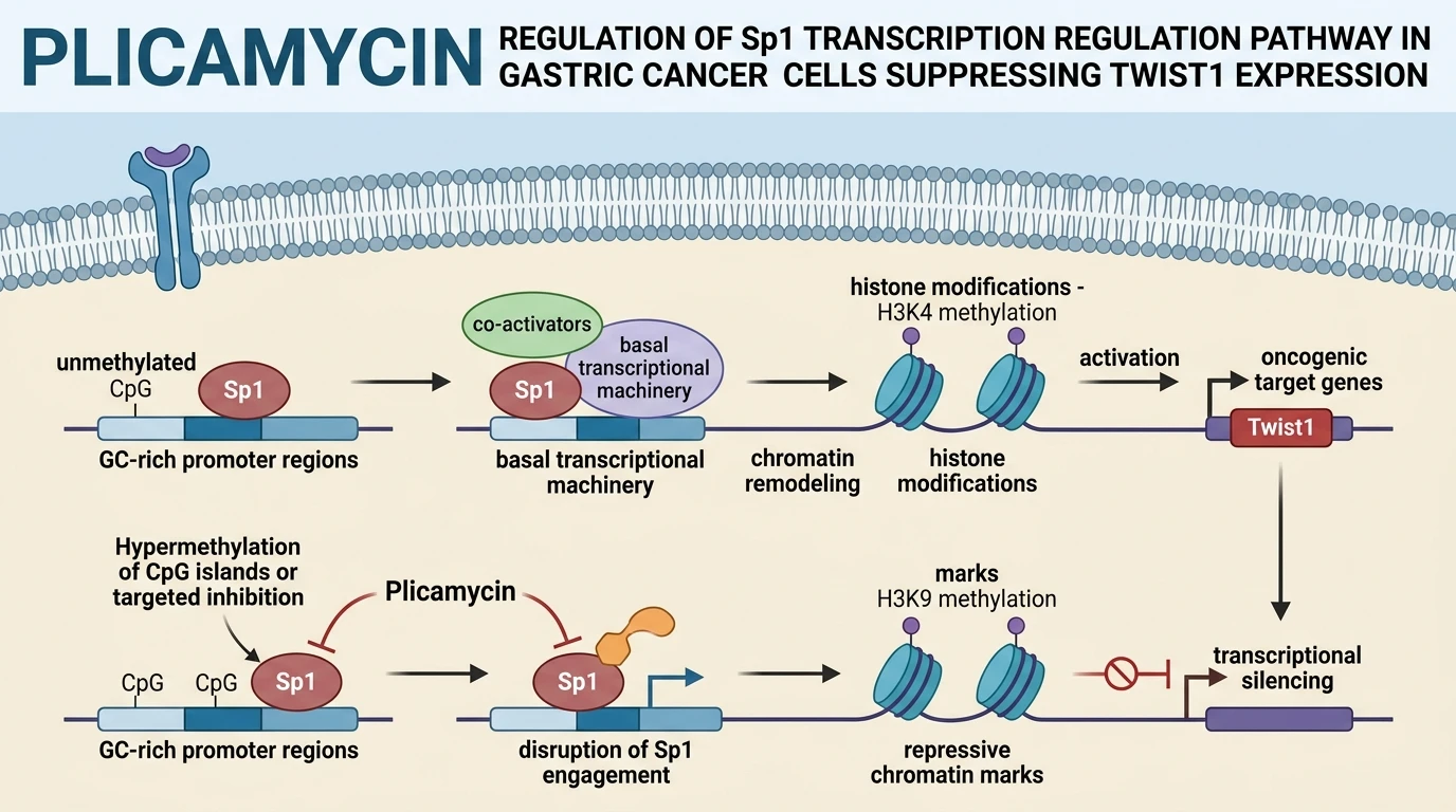 Plicamycin regulation of Sp1 transcription regulation pathway in gastric cancer cells suppressing Twist1 expression